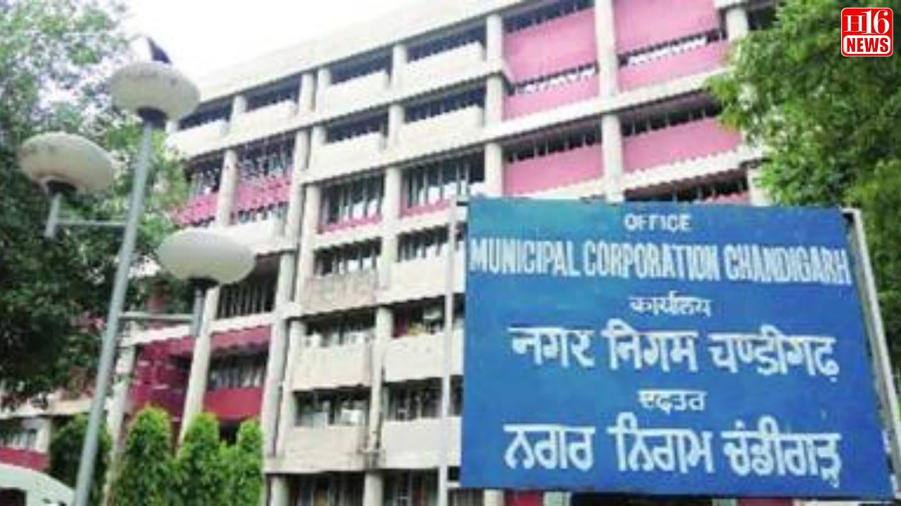 Chandigarh Municipal Corporation Baten Watta Sticks Be New Hangs